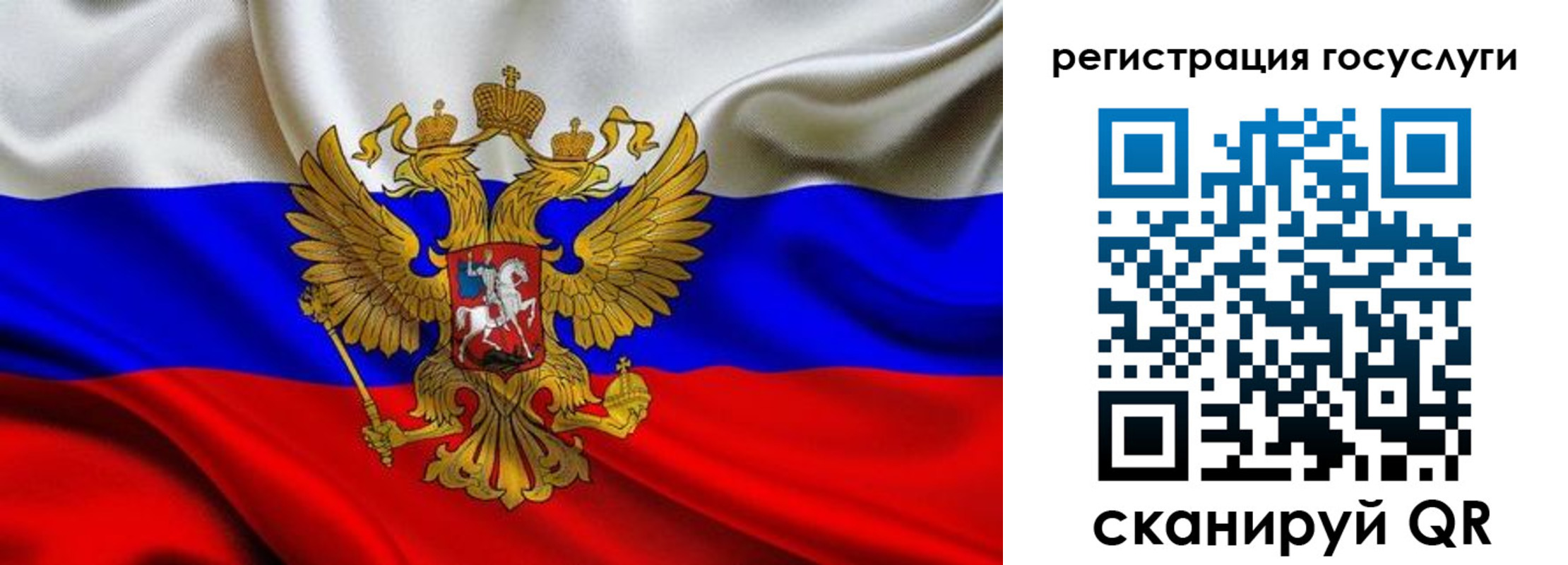 прописка гарантия в Зуевке